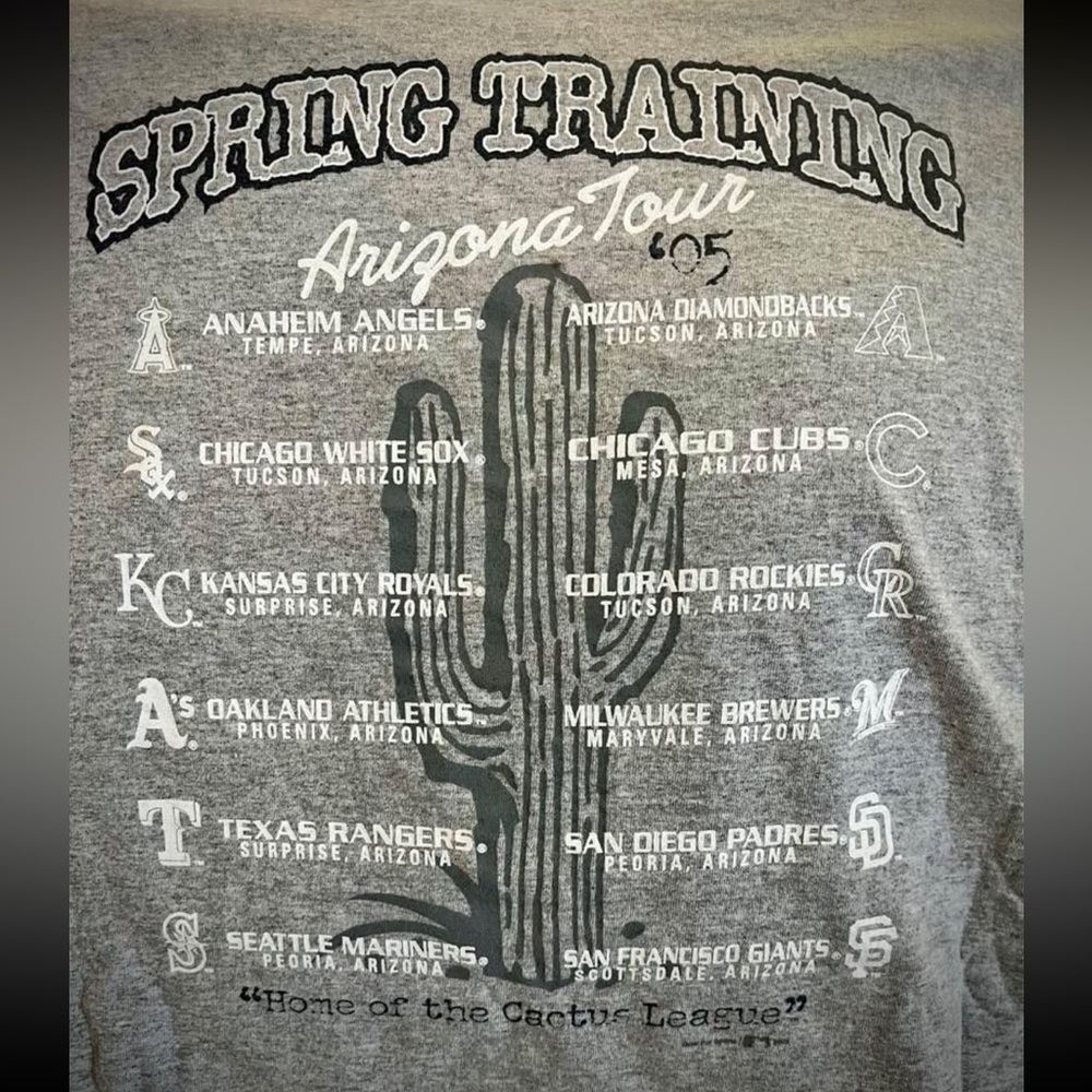 MLB AUTHENTIC Cactus League Gear Spring Training Gray SS Tee NWOT - Picture 2 of 3